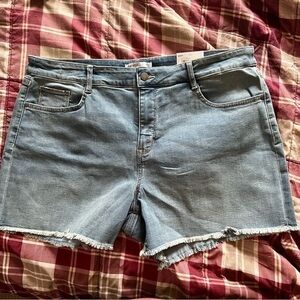 Nine West NWT Medium Wash Stretch Jean Shorts Sz 18 Mud Rise Raw Hem